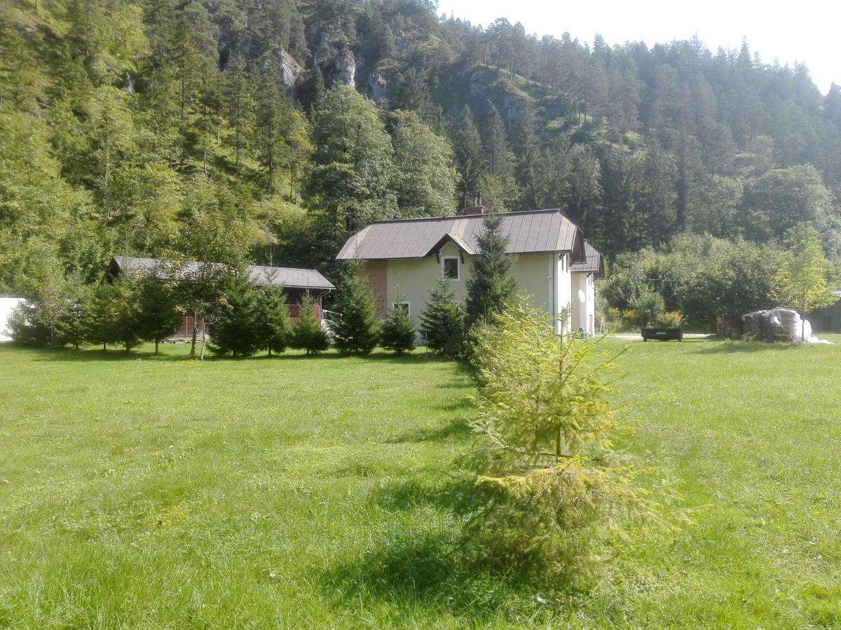 Penzion Black Sheeps Adventures Wildalpen Exterior photo