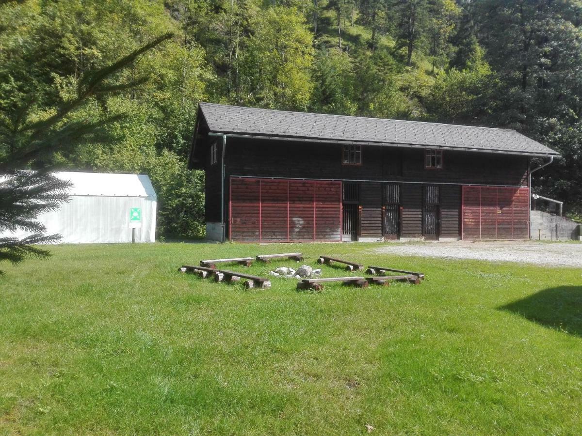 Penzion Black Sheeps Adventures Wildalpen Exterior photo
