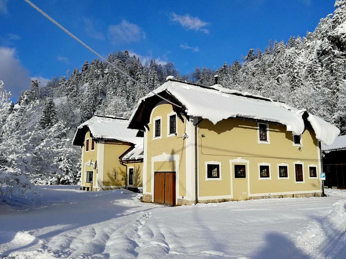 Penzion Black Sheeps Adventures Wildalpen Exterior photo
